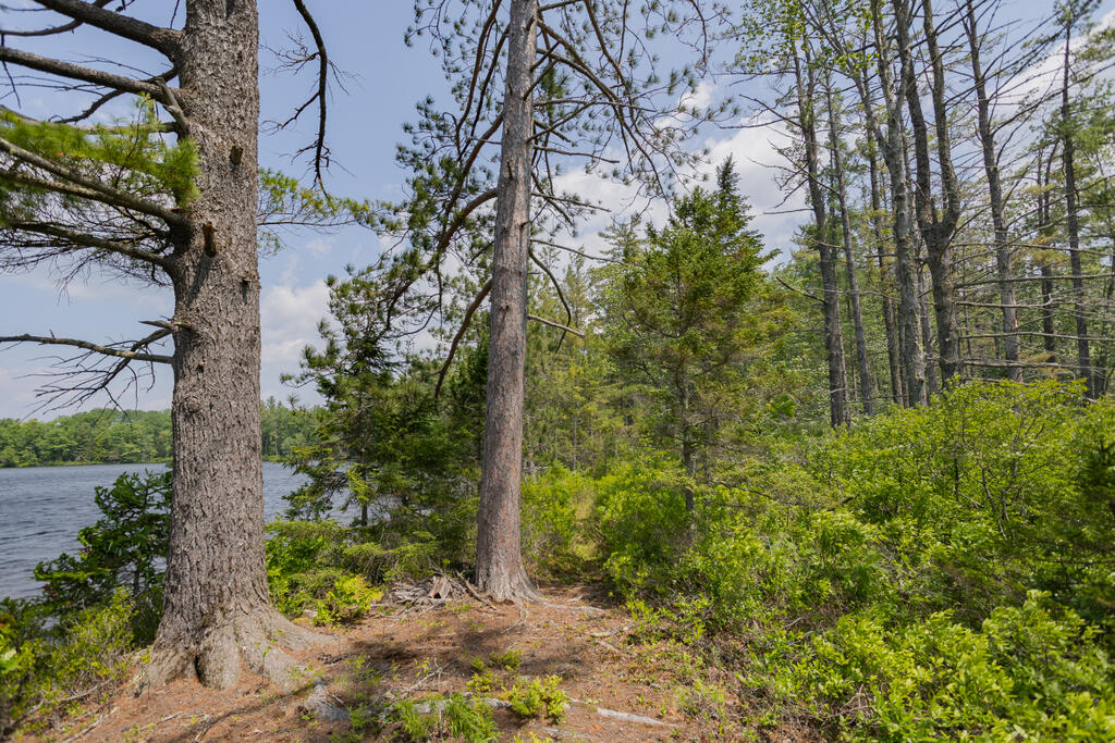 36 Blacks Lane Chesterville ME 04938