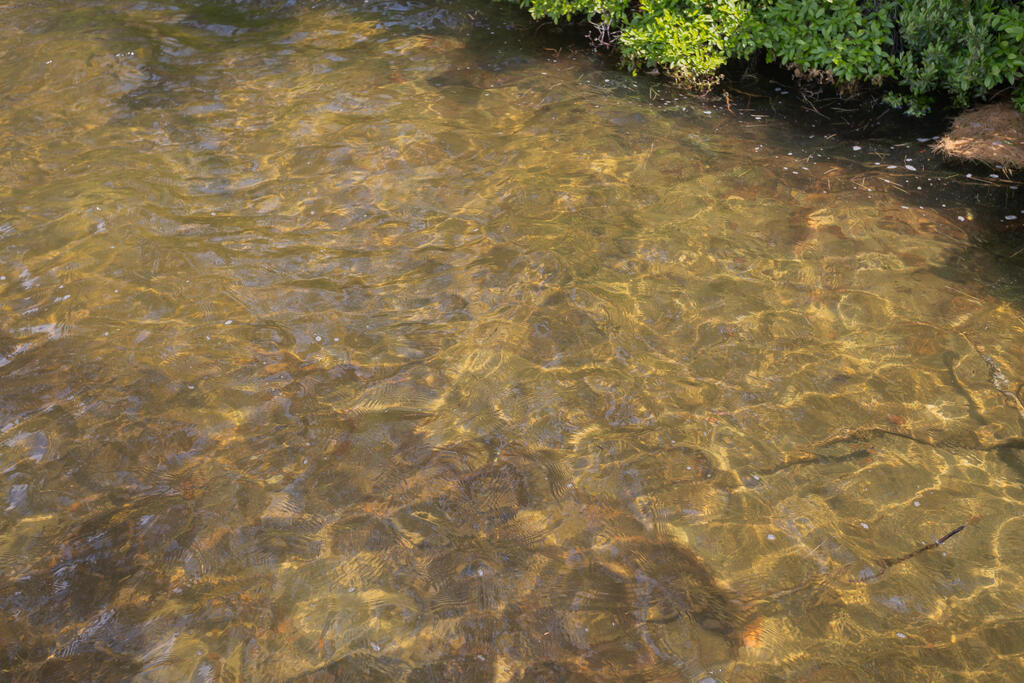 36 Blacks Lane Chesterville ME 04938