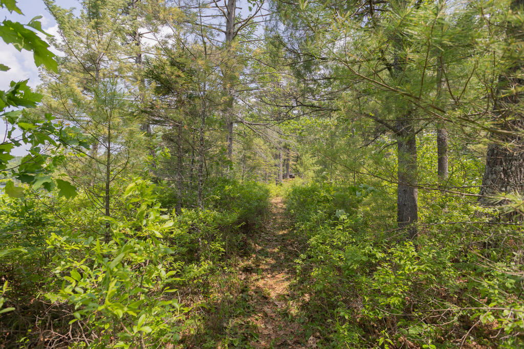 36 Blacks Lane Chesterville ME 04938