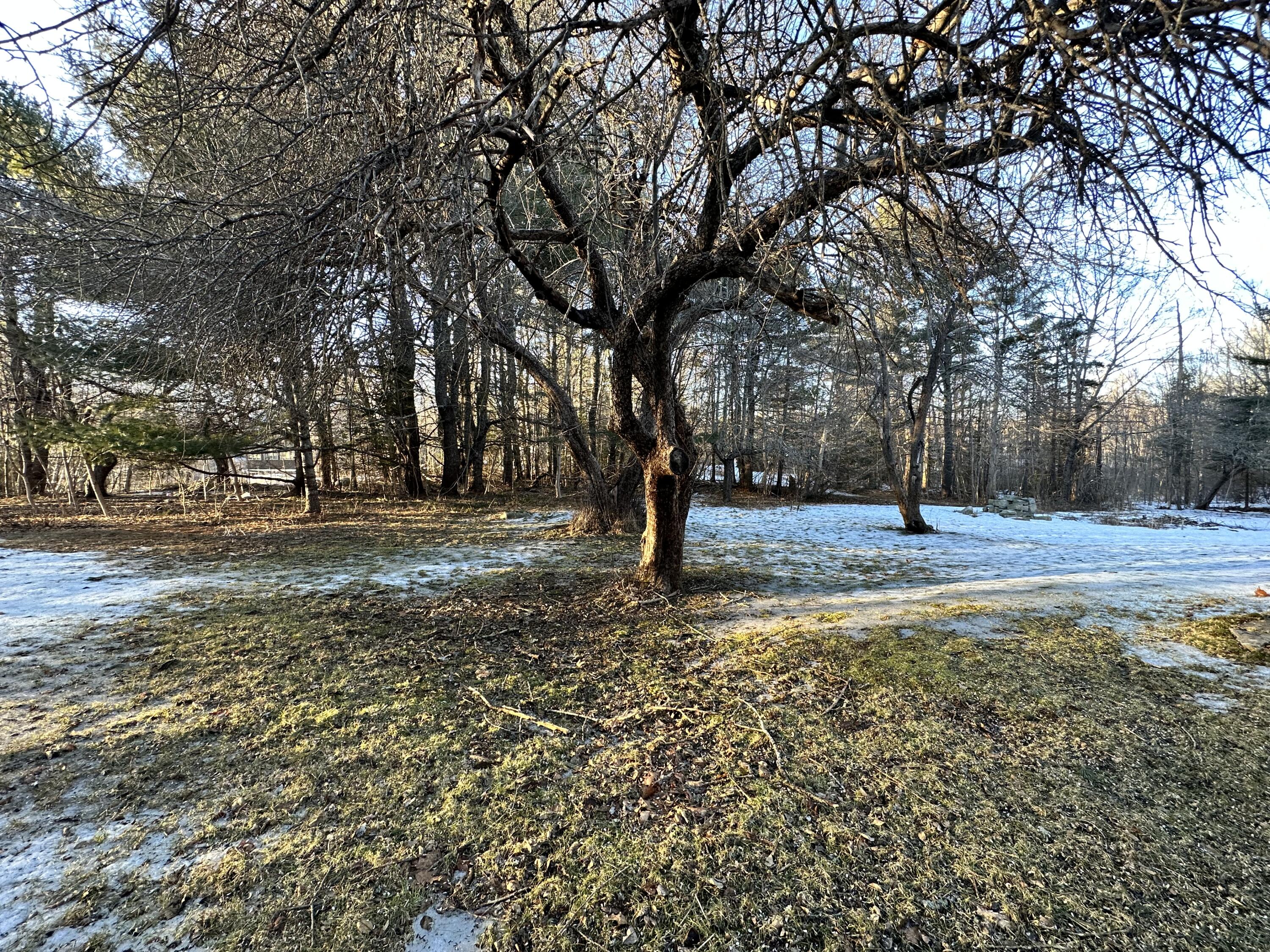 24 Robertson Lane Sullivan ME 04664