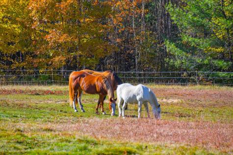 378 Old Stage Road Lovell ME 04051