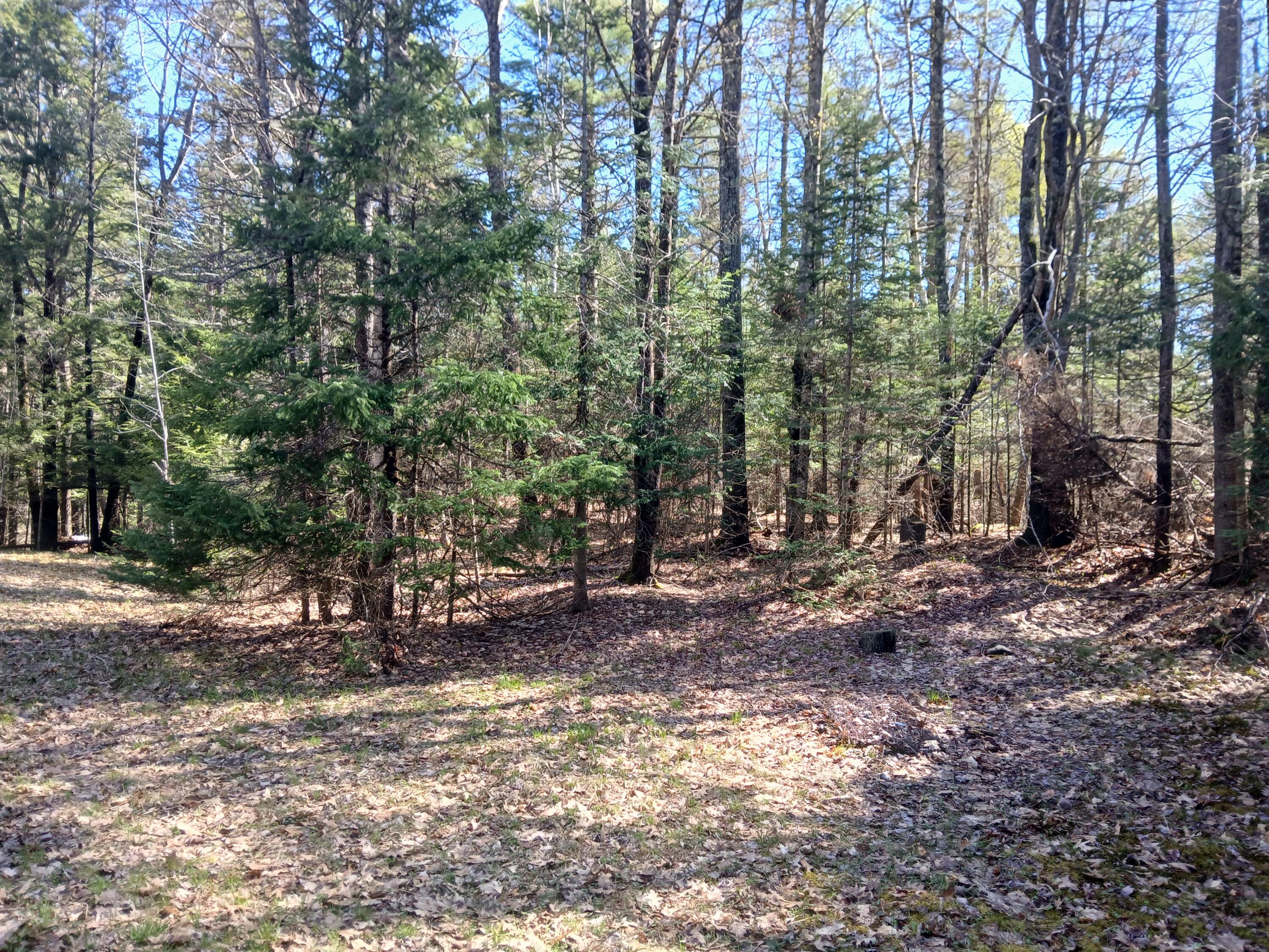 371 Carding Machine Road Bowdoinham ME 04008