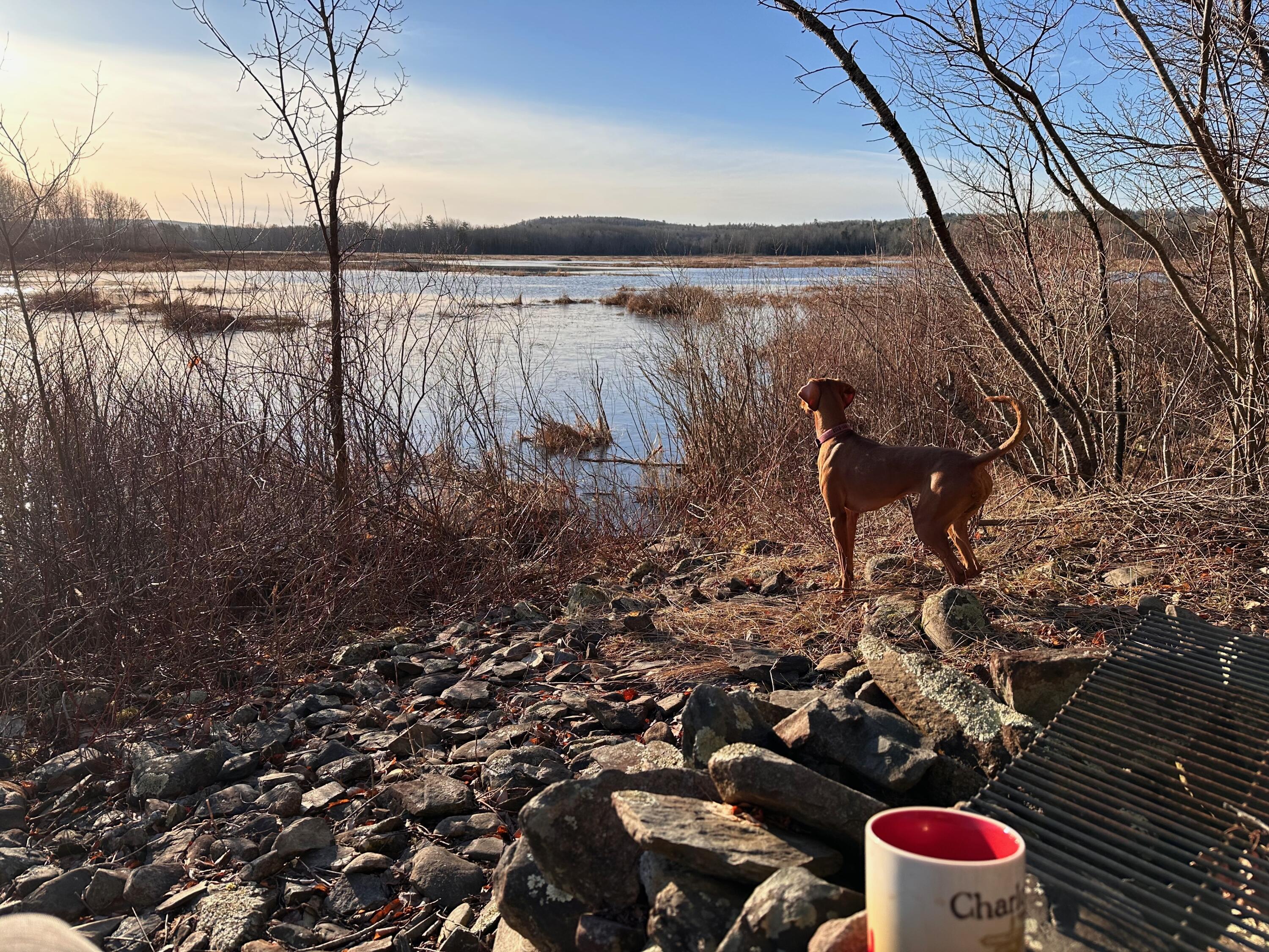 42 Fowler Road Orrington ME 04474