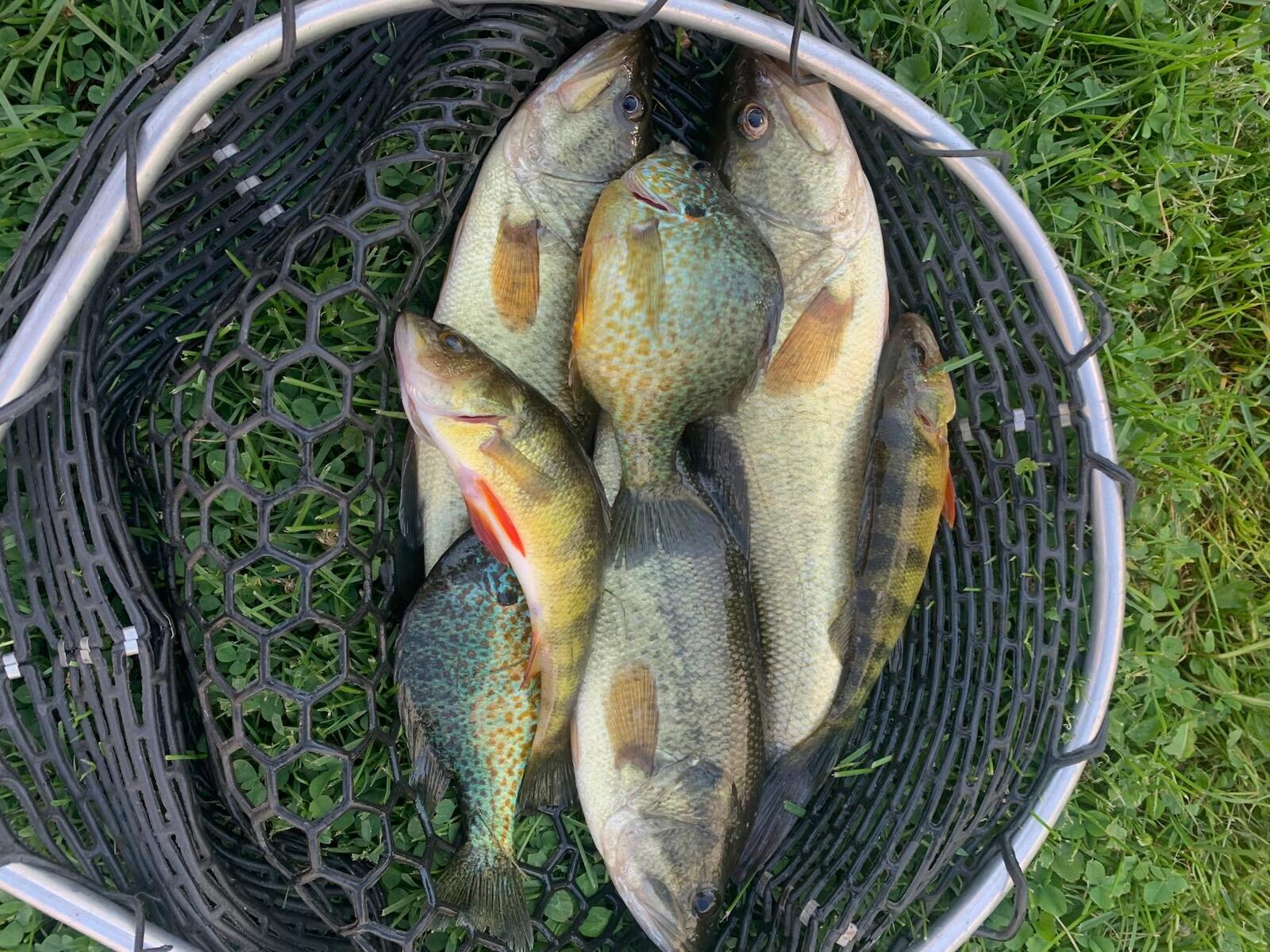 42 Fowler Road Orrington ME 04474