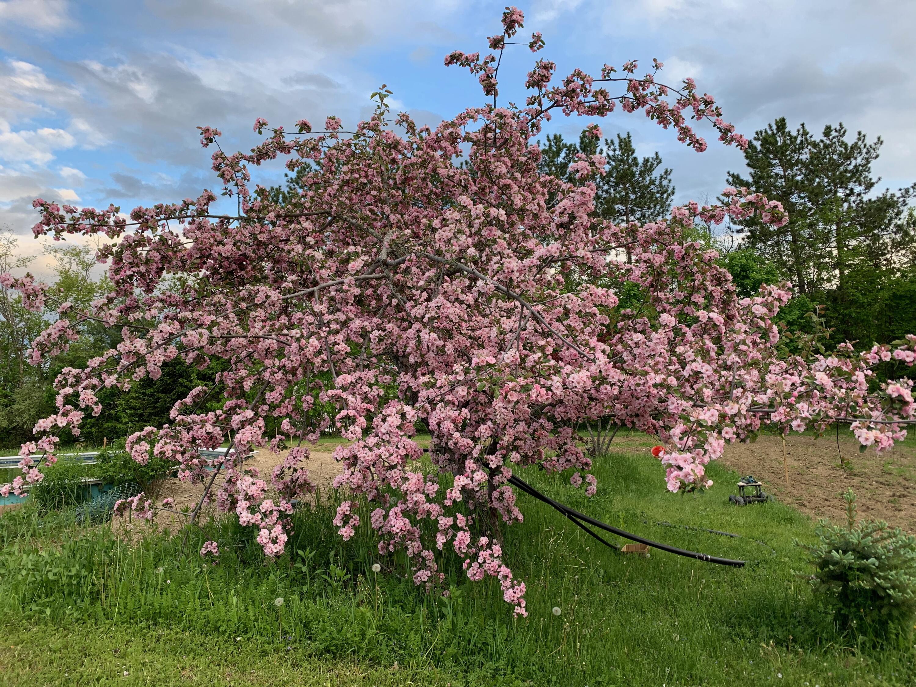 42 Fowler Road Orrington ME 04474