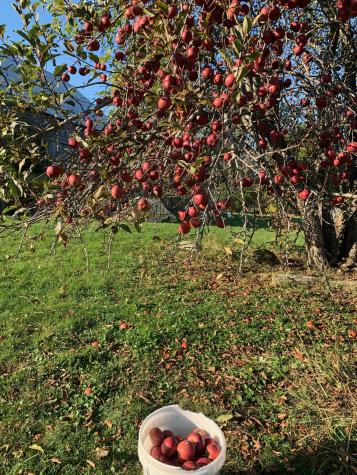 42 Fowler Road Orrington ME 04474