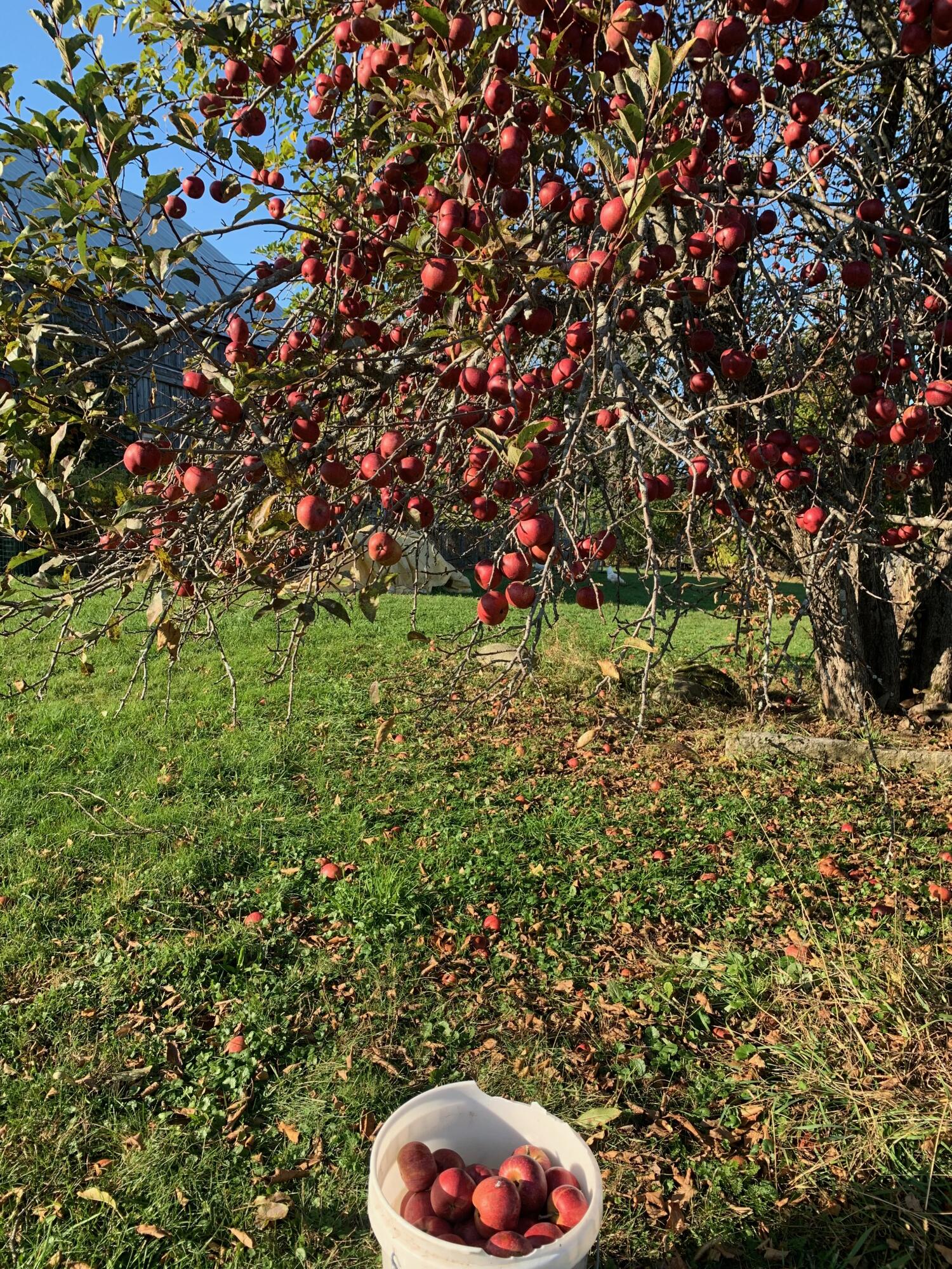 42 Fowler Road Orrington ME 04474