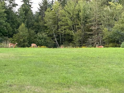 42 Fowler Road Orrington ME 04474