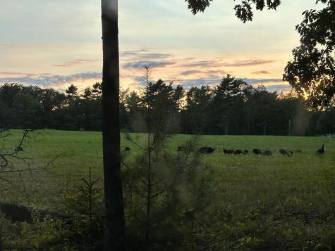 42 Fowler Road Orrington ME 04474