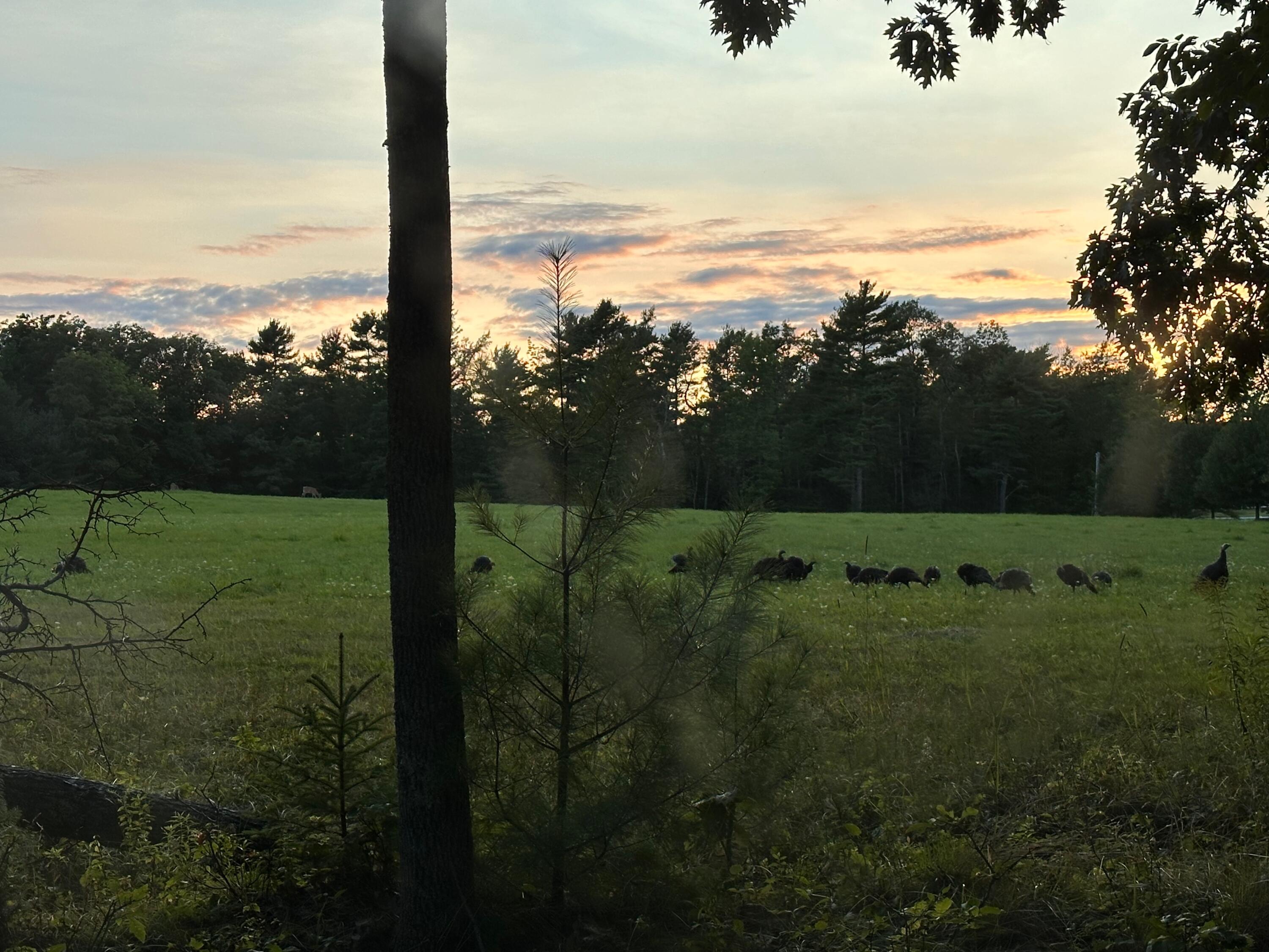 42 Fowler Road Orrington ME 04474