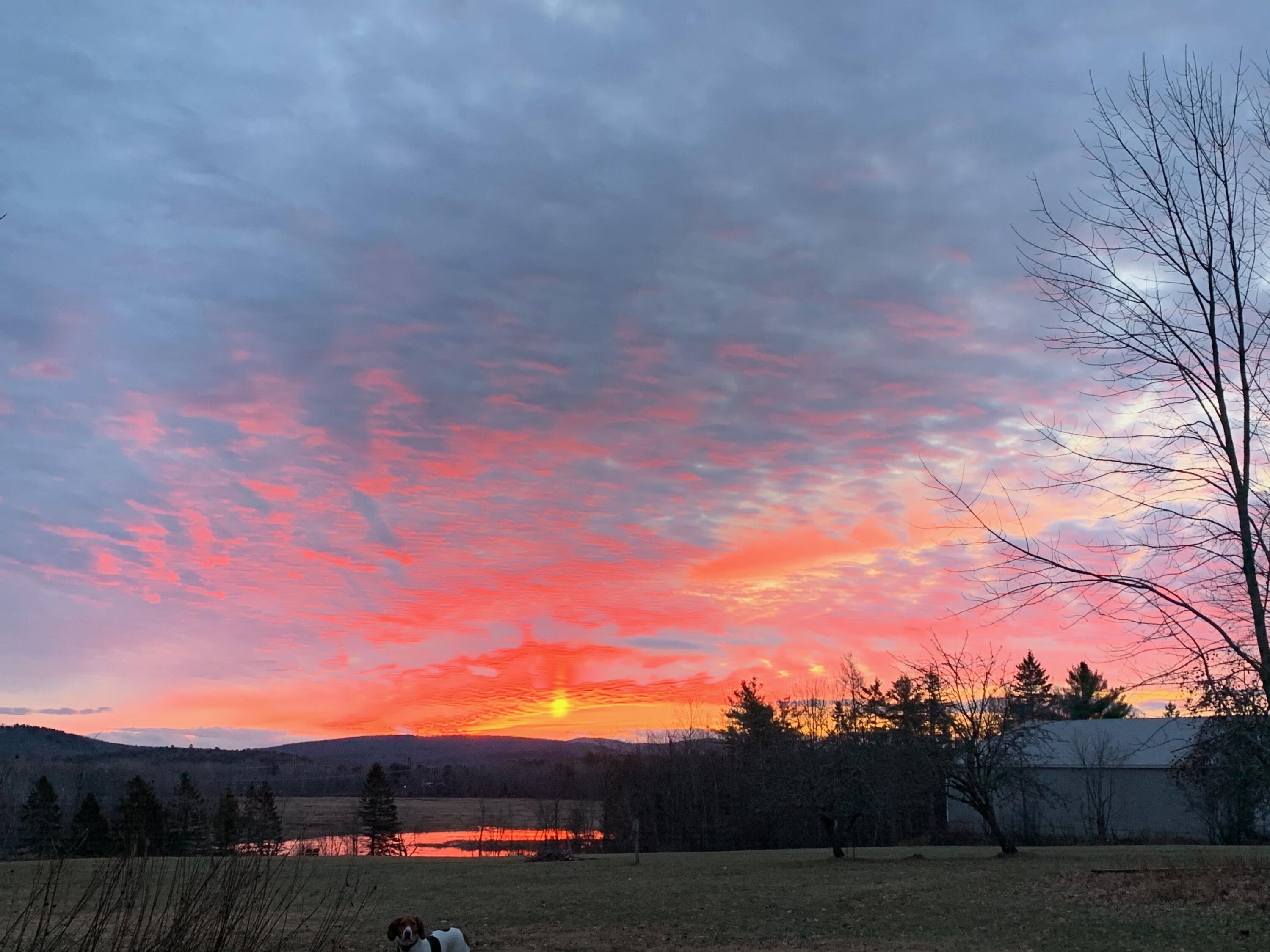 42 Fowler Road Orrington ME 04474