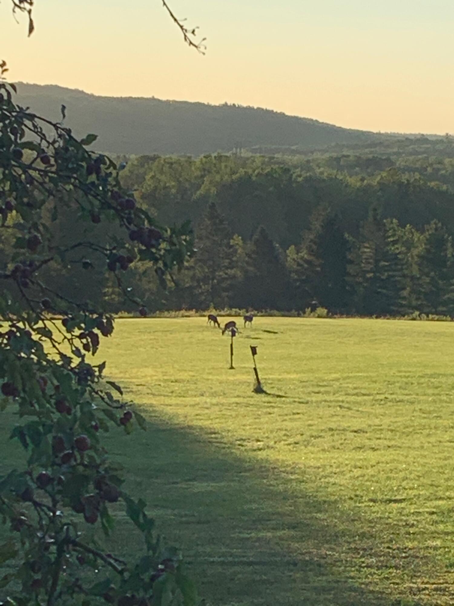 42 Fowler Road Orrington ME 04474