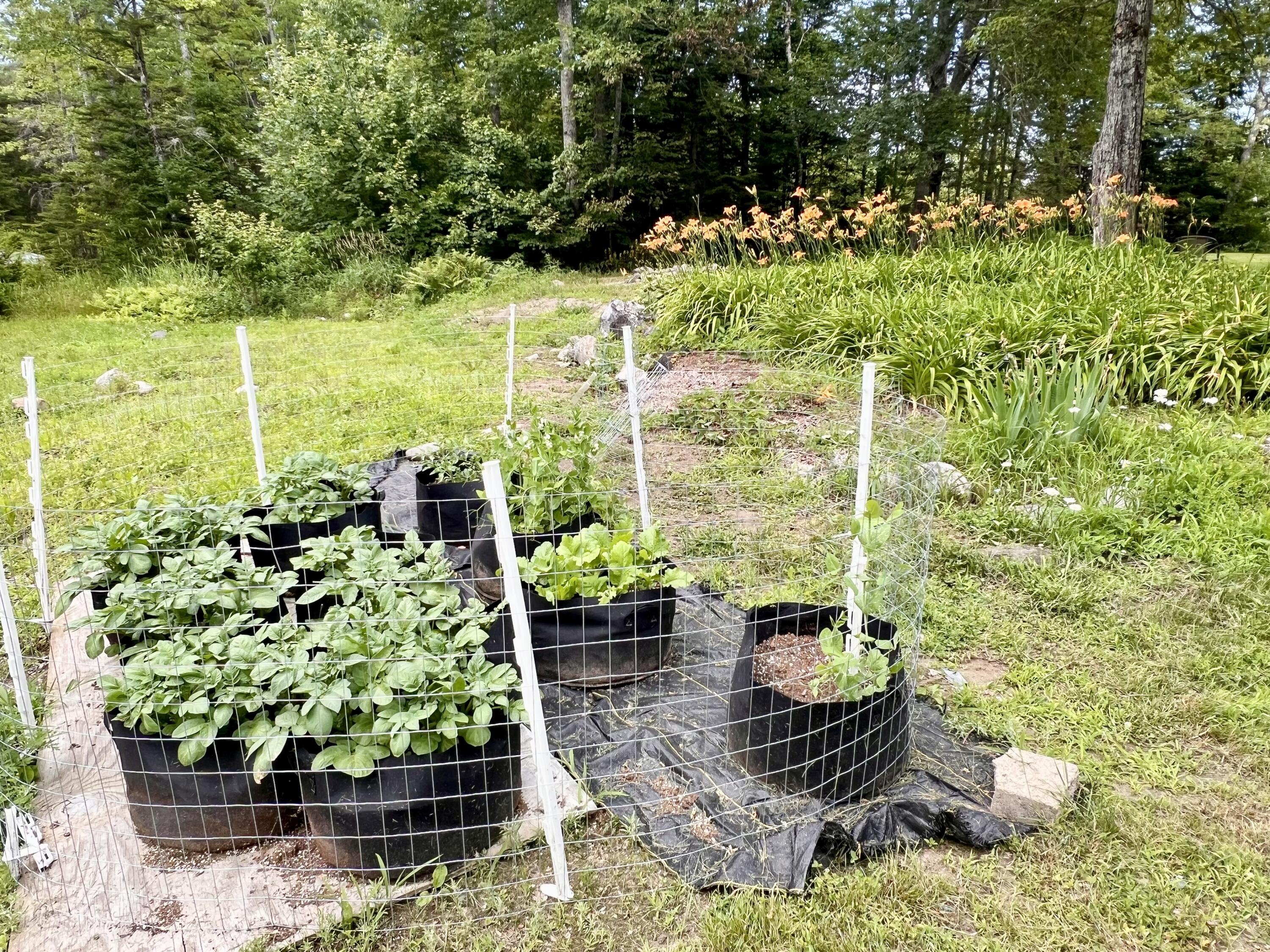 664 E Blue Hill Road Blue Hill ME 04614