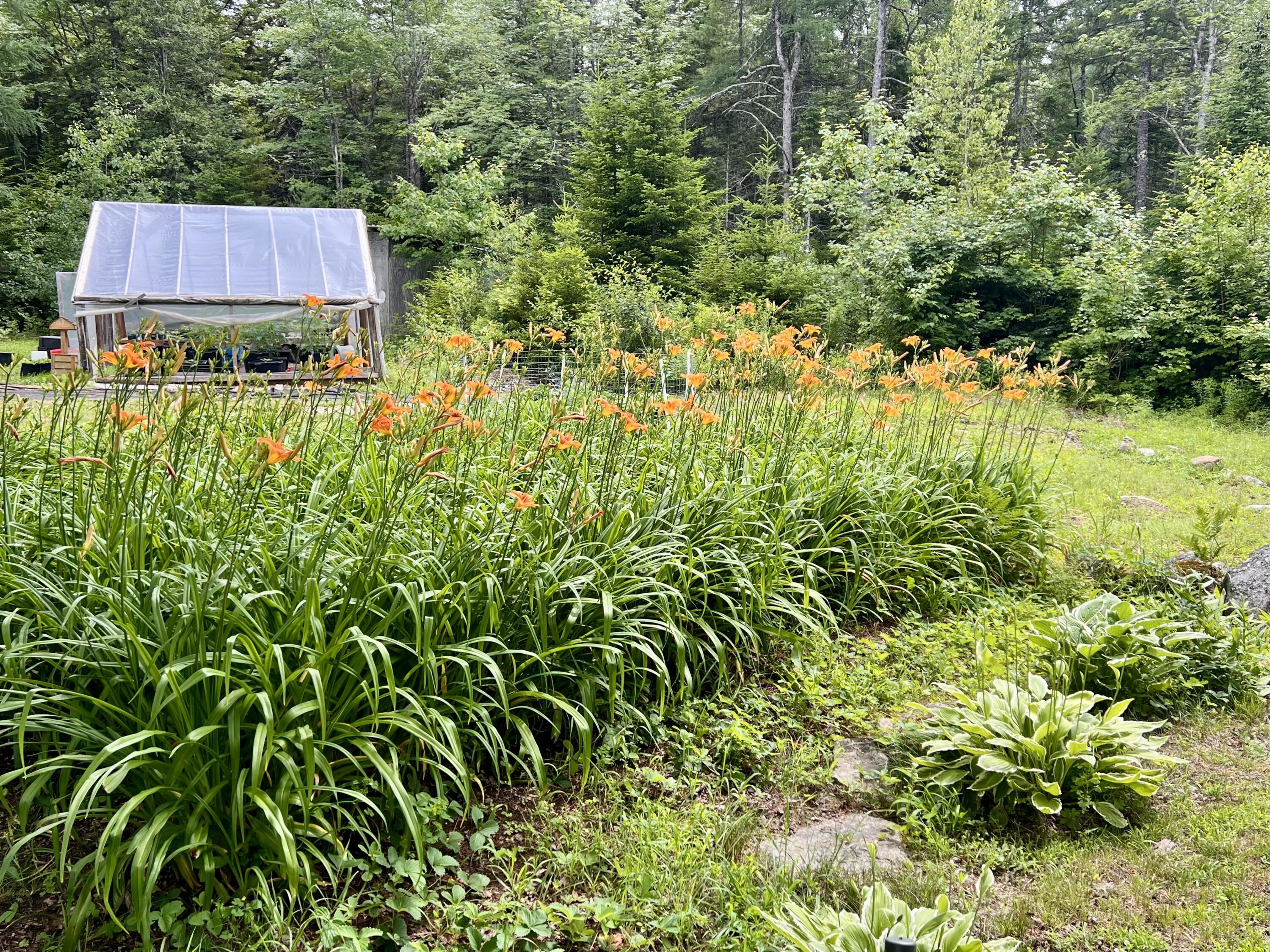 664 E Blue Hill Road Blue Hill ME 04614