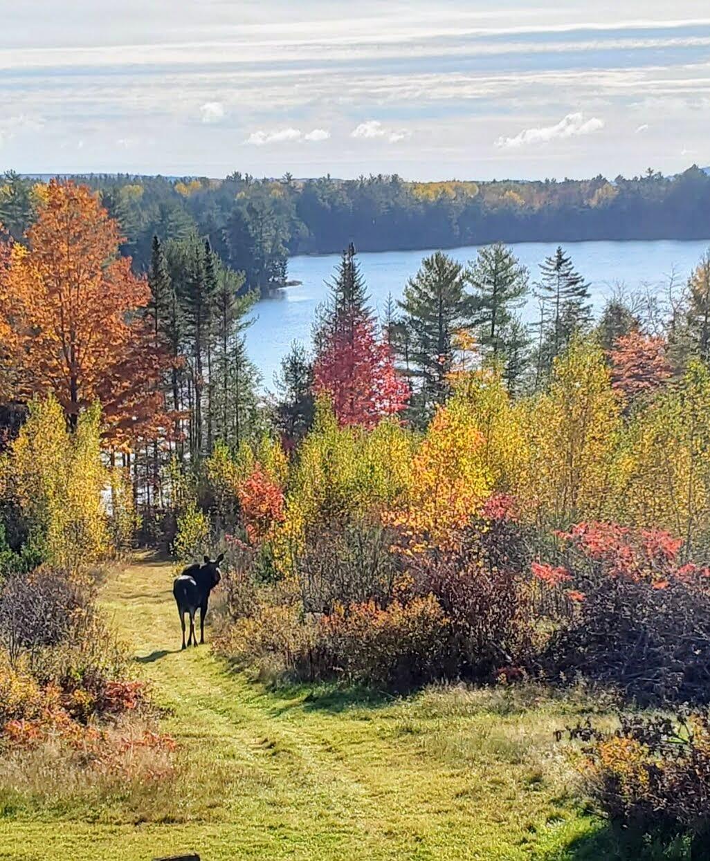 293 Ellsworth Road Aurora ME 04408