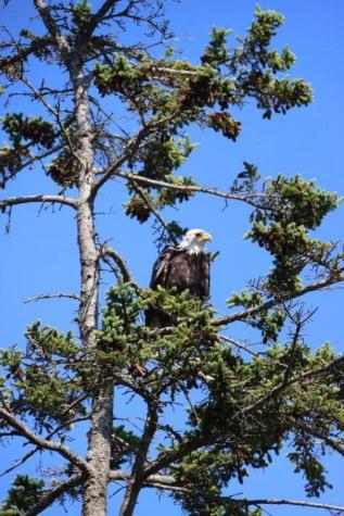 174 Pink Street Saint George ME 04860