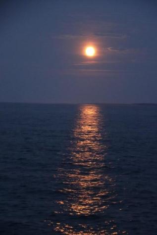 174 Pink Street Saint George ME 04860