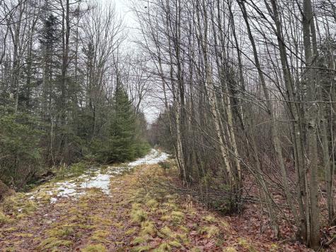 94 Heath Road Milbridge ME 04658