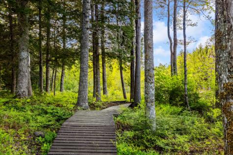 95 Silsby Road Mariaville ME 04605