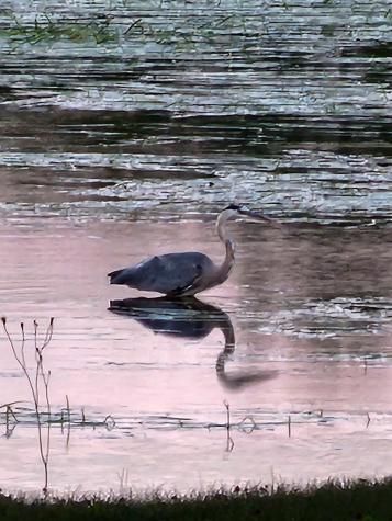 95 Silsby Road Mariaville ME 04605