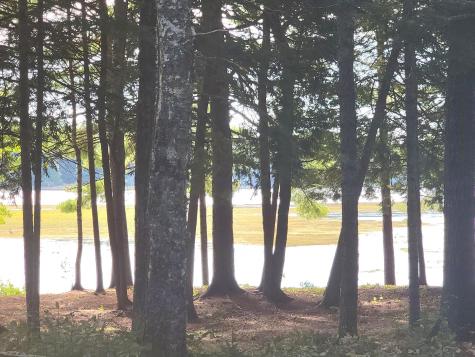 95 Silsby Road Mariaville ME 04605