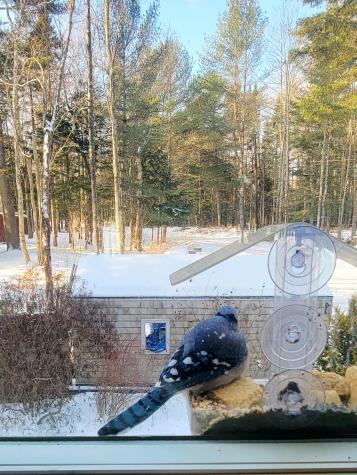 95 Silsby Road Mariaville ME 04605