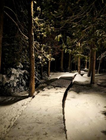 95 Silsby Road Mariaville ME 04605