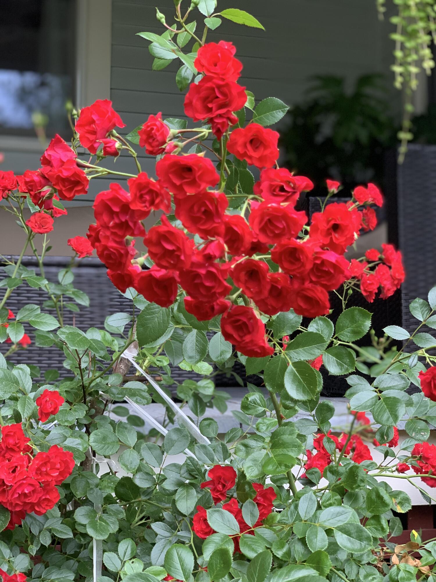 274 Front Street Richmond ME 04357