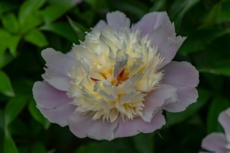 274 Front Street Richmond ME 04357