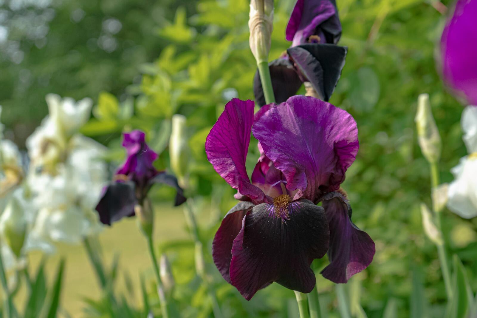 274 Front Street Richmond ME 04357