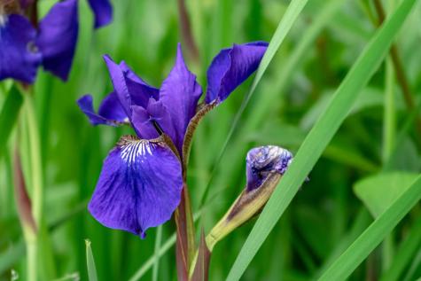 274 Front Street Richmond ME 04357