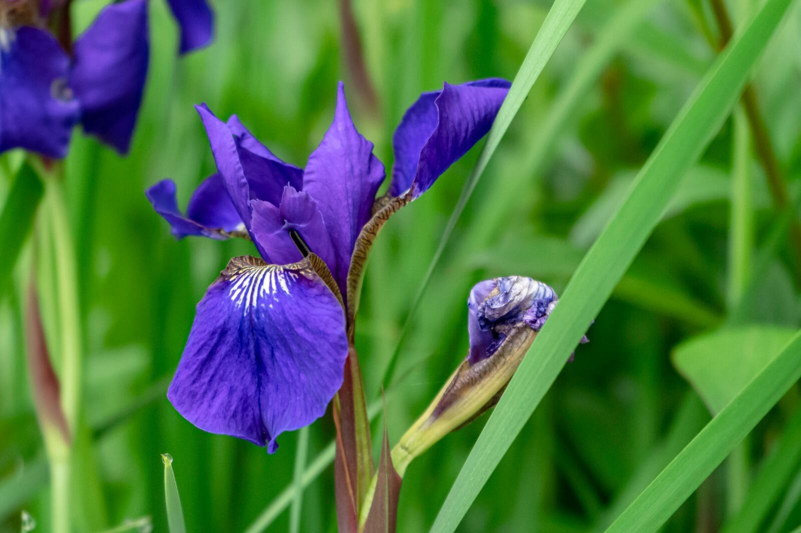 274 Front Street Richmond ME 04357