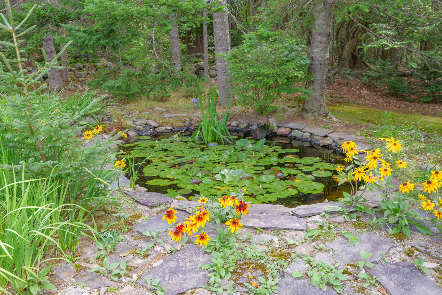 55 Upper Sylvan Street Stockton Springs ME 04981