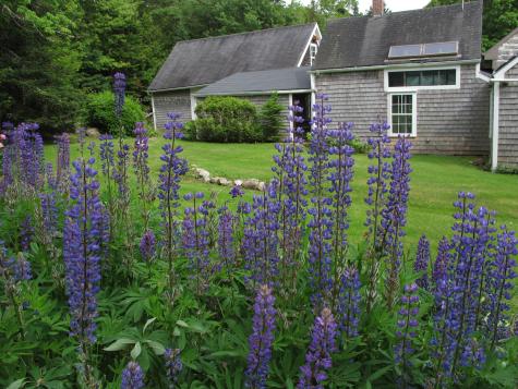 55 Upper Sylvan Street Stockton Springs ME 04981