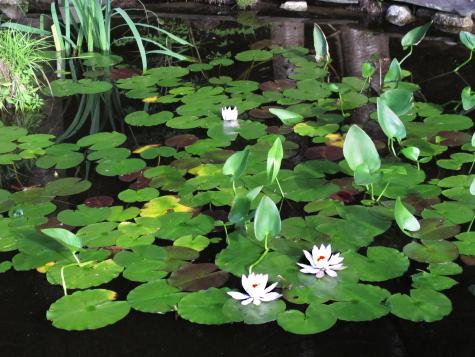 55 Upper Sylvan Street Stockton Springs ME 04981