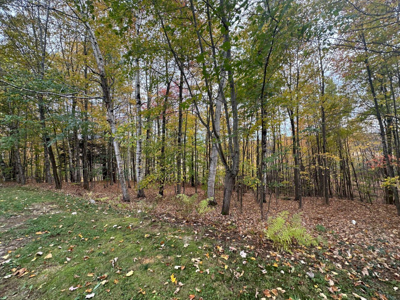 120 Savage Road Farmington ME 04938