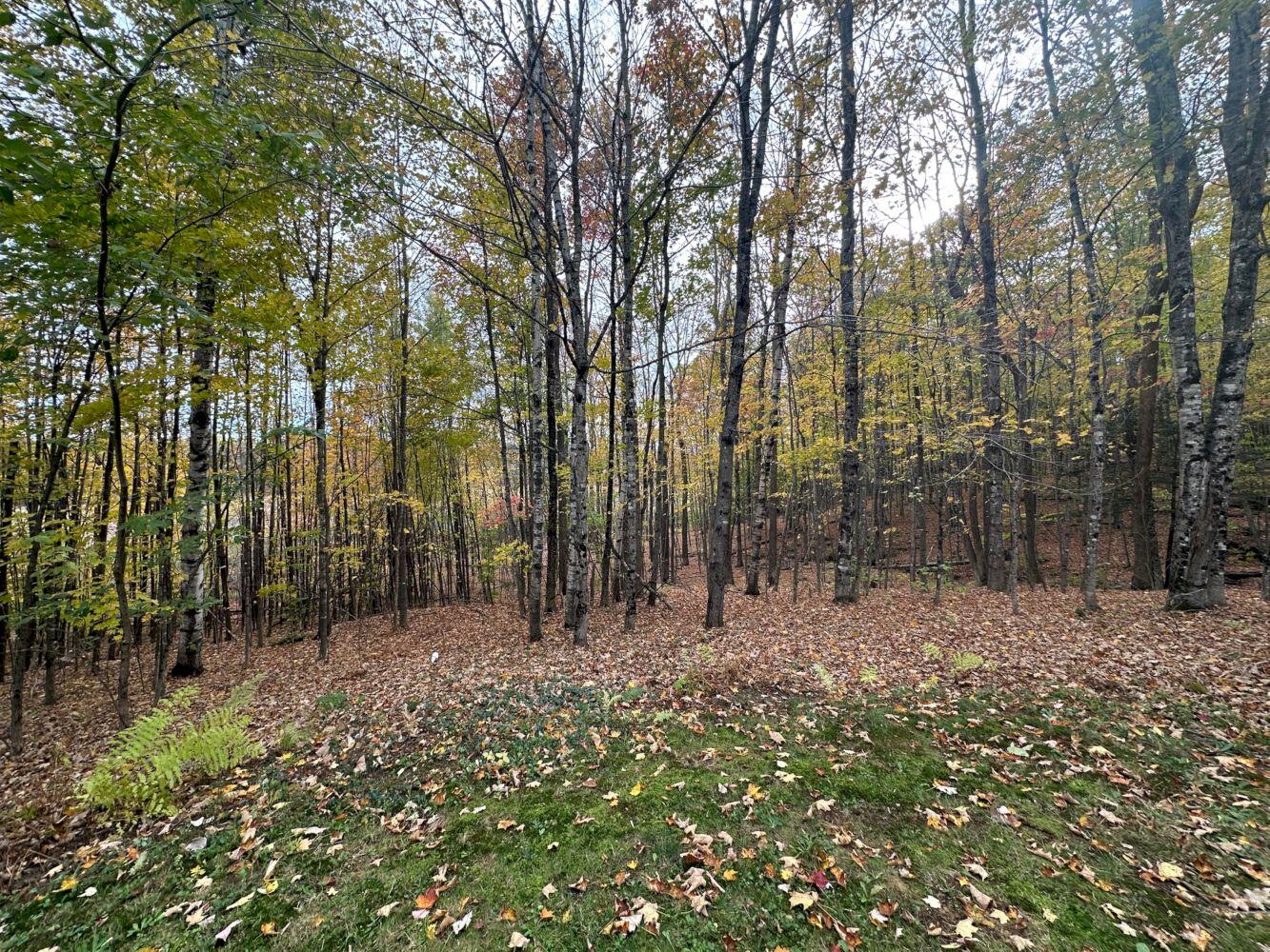 120 Savage Road Farmington ME 04938