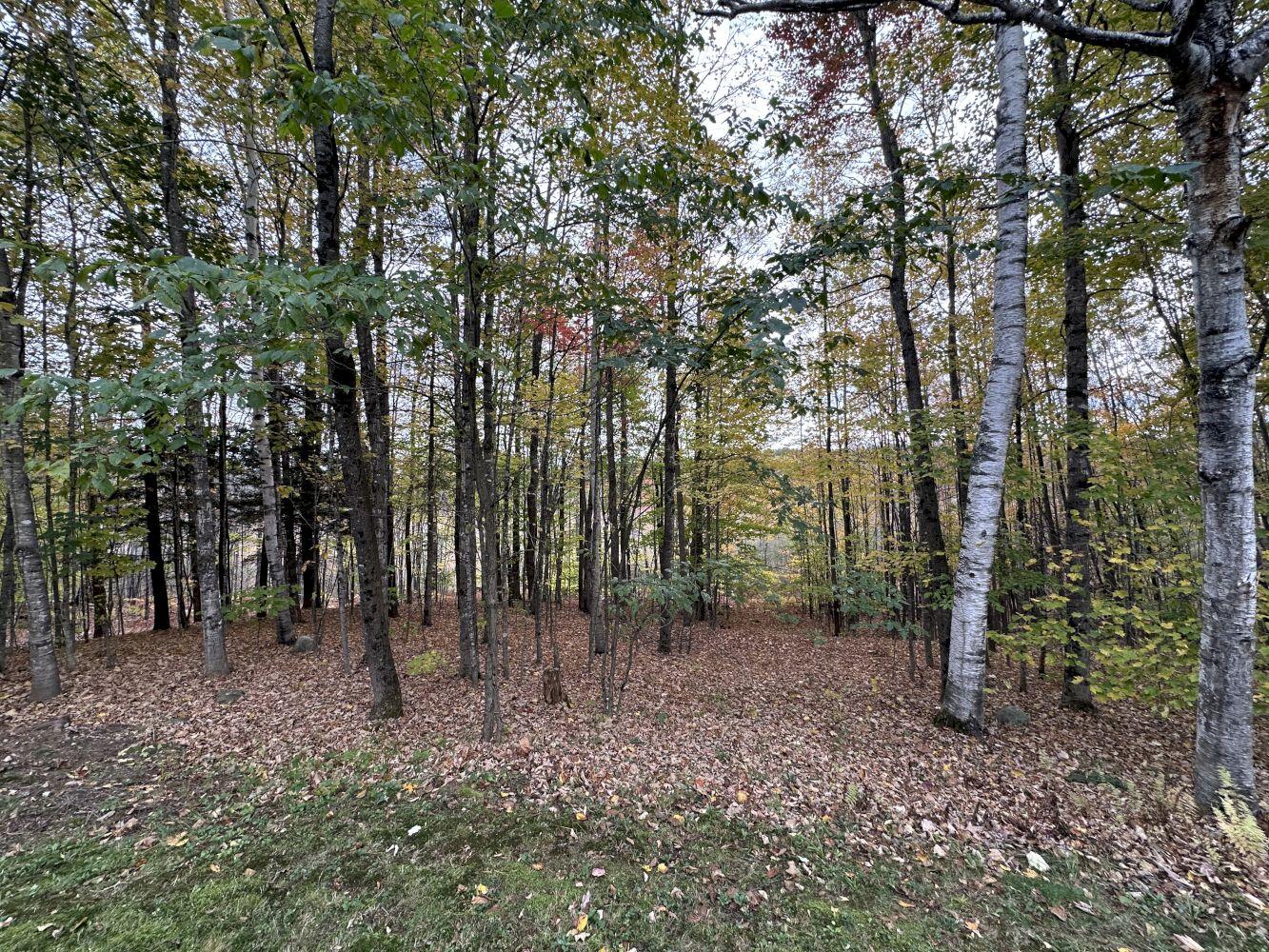 120 Savage Road Farmington ME 04938