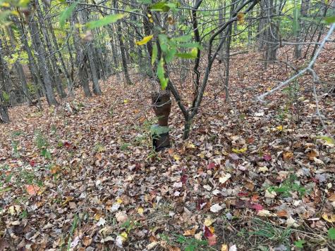 120 Savage Road Farmington ME 04938