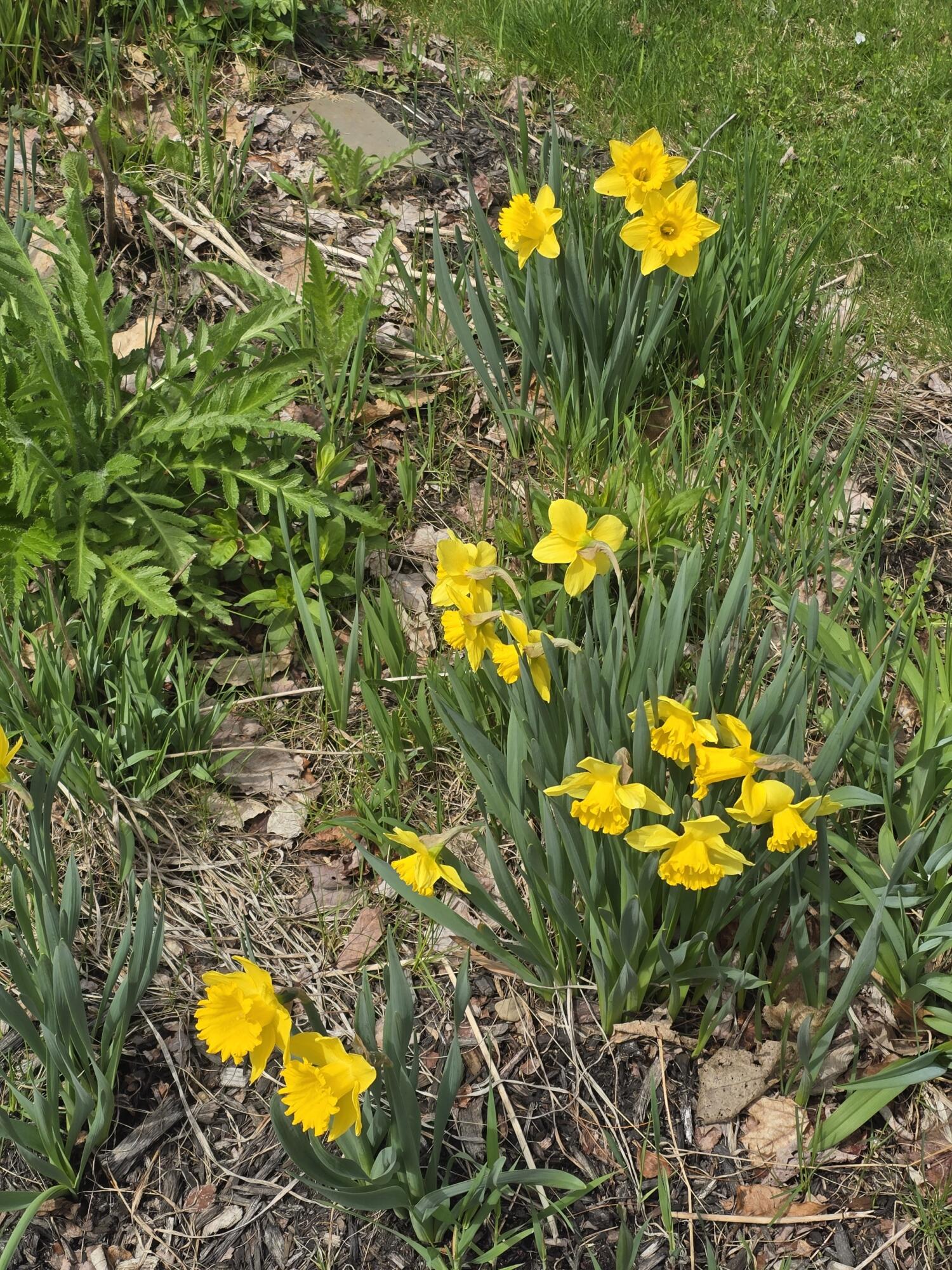 341 East Road Wales ME 04280