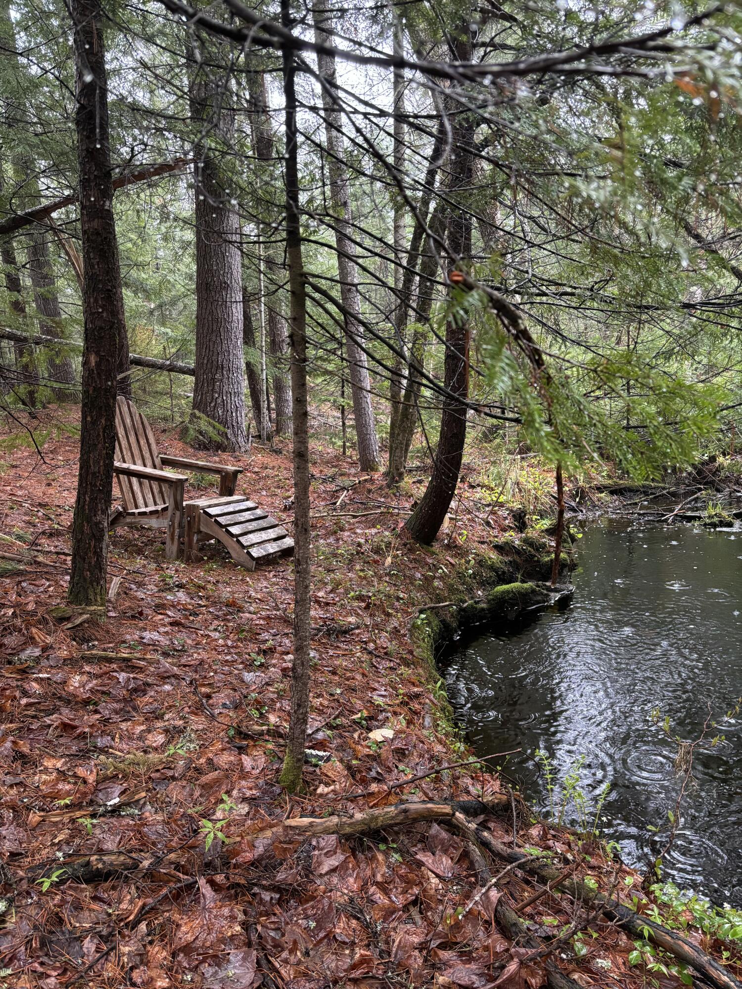 29 Farnsworth Road Fryeburg ME 04037