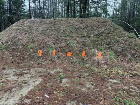 29 Farnsworth Road Fryeburg ME 04037