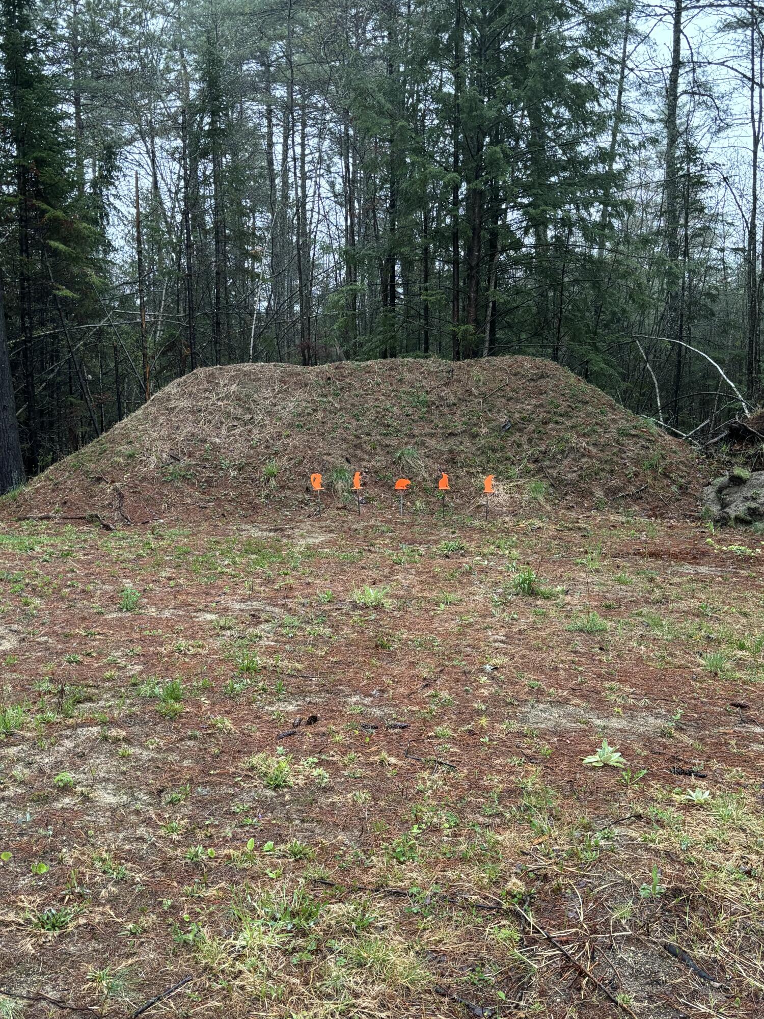 29 Farnsworth Road Fryeburg ME 04037
