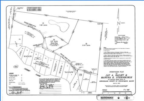 10 Phoebe Island & 38 Beaverbrook Road Bowerbank ME 04426