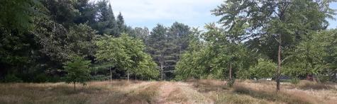 143 Fahi Pond Road Anson ME 04958