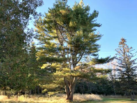 122 Cross Road Hancock ME 04640