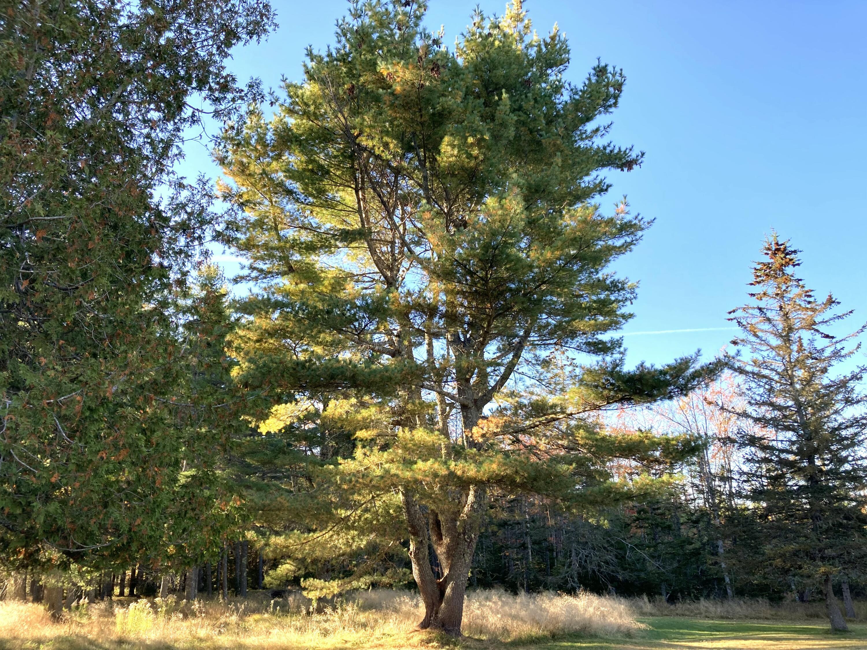 122 Cross Road Hancock ME 04640