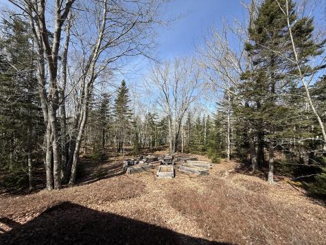 81 Stoehrs Way Milbridge ME 04658