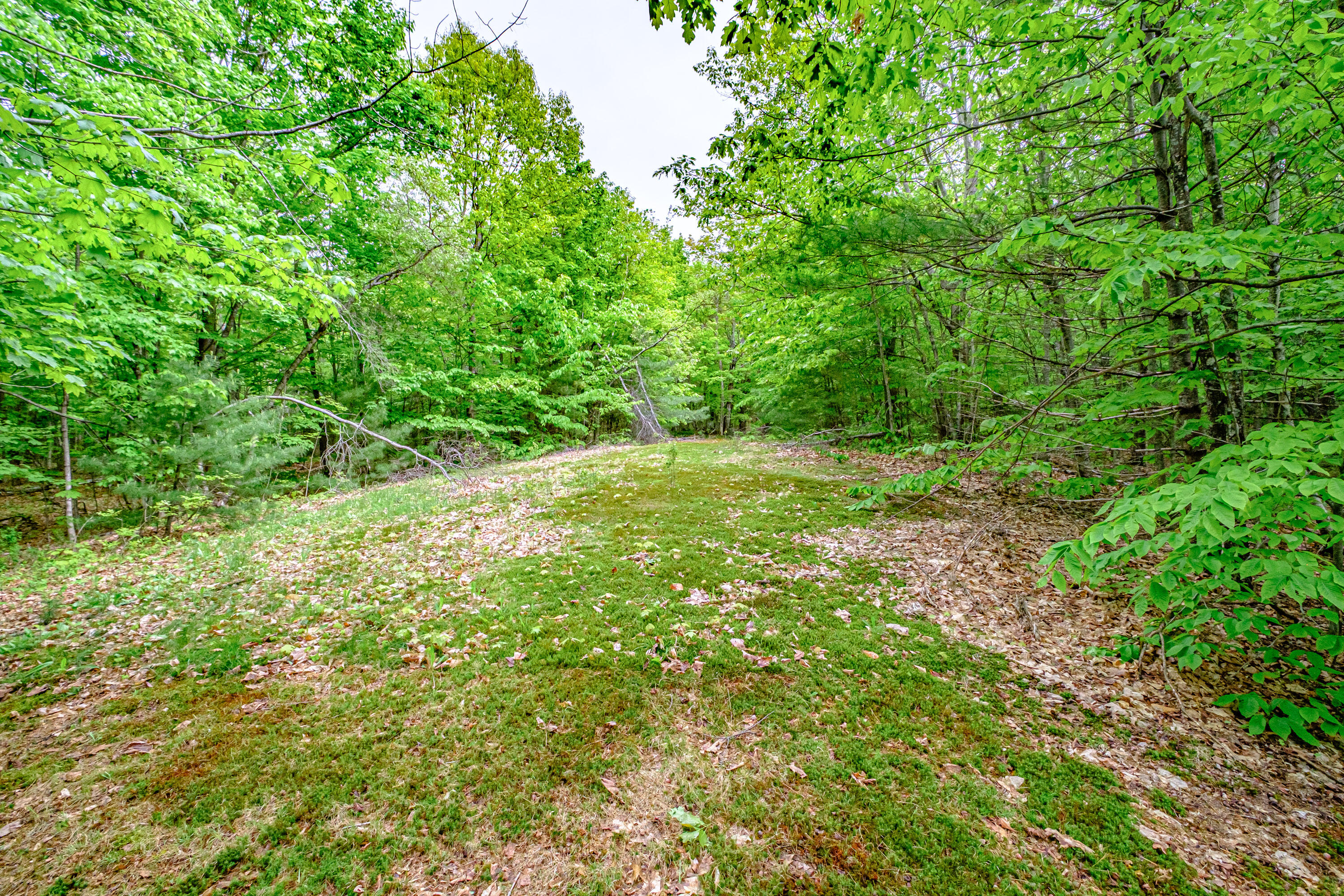 217 Chamberlain Road Brownfield ME 04010