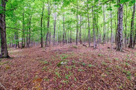 217 Chamberlain Road Brownfield ME 04010